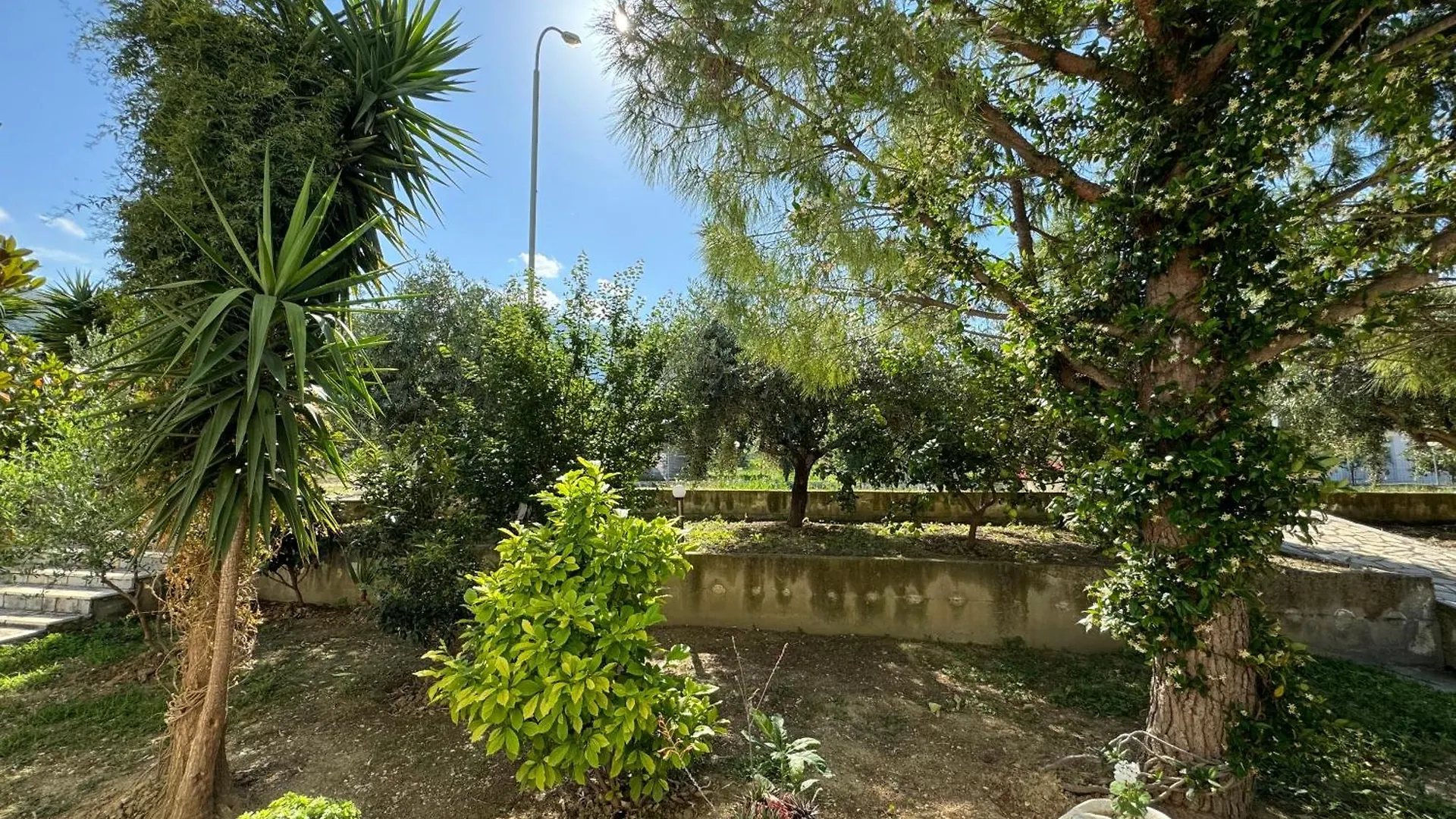Hotel Cekodhima Radhime
